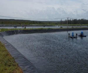 虾池/鱼塘水产养殖专用防
