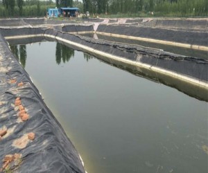 复合土工膜的价格