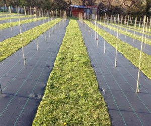 长丝土工布与短丝土工布的区别